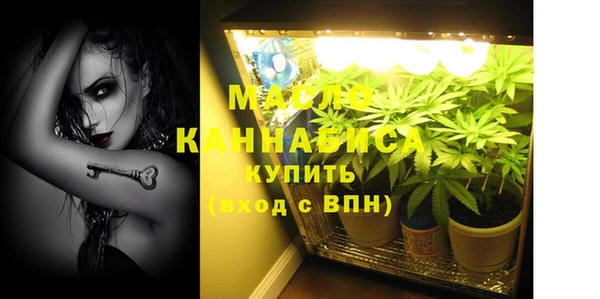 соль ск Ельня