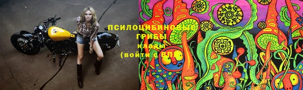 соль ск Ельня