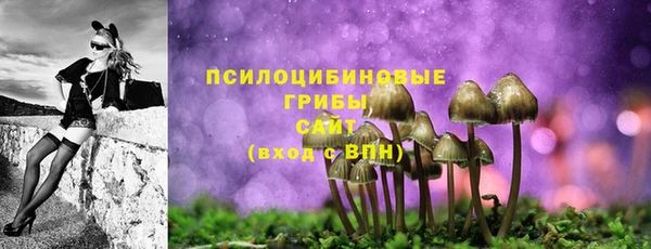мет Гусев