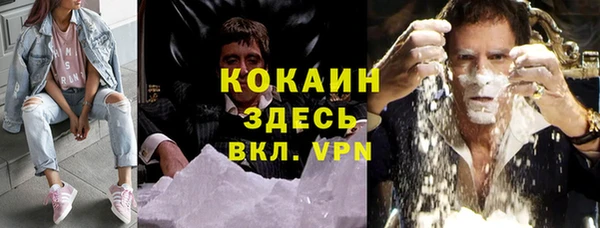 соль ск Ельня