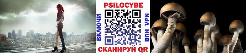 МЕГА tor  Печоры  Галлюциногенные грибы прущие грибы 